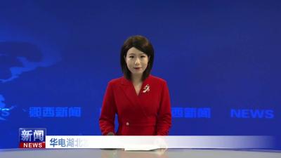 华电湖北发电有限公司：消费帮扶助农增收促振兴.mp4