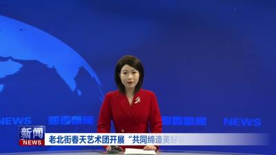 老北街春天艺术团开展“共同缔造美好家园”庆元旦迎新春演出.mp4