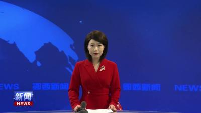 查宏在观音镇督导低温雨雪天气防范 春运安全生产等工作时强调  落实落细安全生产措施 确保群众欢度新.mp4