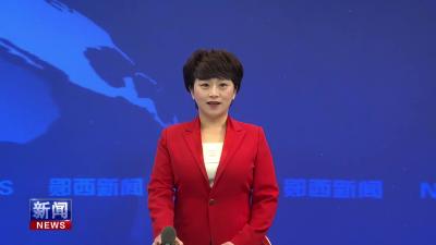 王兵调研重点项目 乡村振兴等工作强调   加快重点项目建设  全面推进乡村振兴.mp4