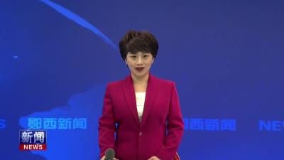 全县2025年乡镇人大工作现场会召开.mp4