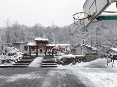 桃花雪来了！接下来的天气是……