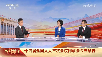 十四届全国人大三次会议闭幕会