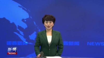 王兵等县领导参加义务植树活动.mp4