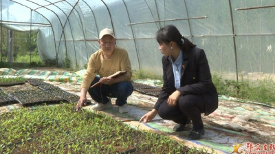 河夹镇：不误农时 抗旱保苗