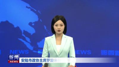 安陆市政协主席罗旋来我县考察老旧街区改造工程.mp4