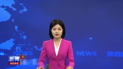 【服务湖北建成支点访谈】马安镇：聚力打赢七个攻坚战 奋力建功支点建设.mp4