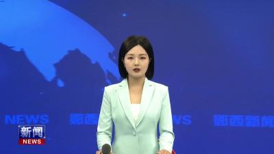 【服务湖北建成支点访谈】河夹镇：聚力产城融合添动能  服务支点建设立新功.mp4