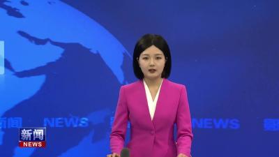 王兵专题研究燃气安全产业链建设.mp4