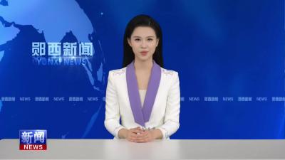 王兵主持召开县委常委会会议.mp4