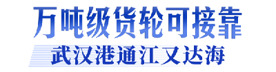 牢记嘱托 建成支点丨从通江达海到链接全球，武汉港九大港区激活“黄金水道”