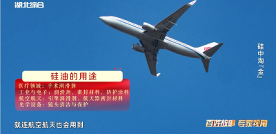 《是这个理》：硅中淘“金”