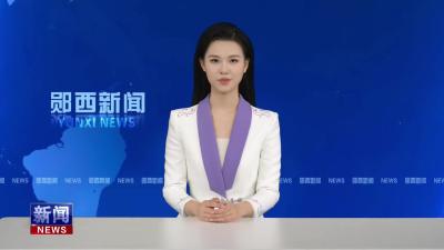 县残联举办全国助残日主题活动.mp4