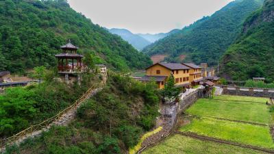 十堰郧西：沙沟村山乡“蝶变”绽放“文明花”