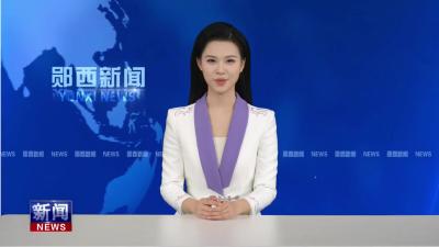 我县中医药文化夜市火爆开市.mp4
