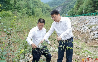 王兵：坚持大抓基层 提升治理效能