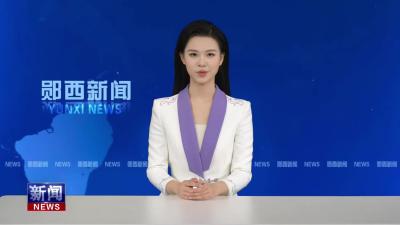 王兵 李光锐督导安全生产 市场保供等工作.mp4