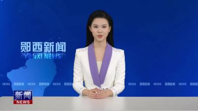 郧西县“十五五”规划编制推进会召开.mp4