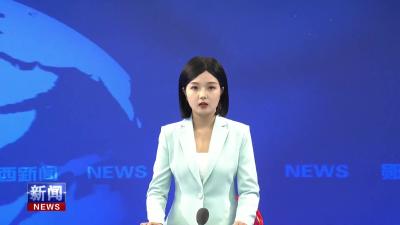 省应急管理厅党委委员、副厅长周宏亮来我县调研.mp4