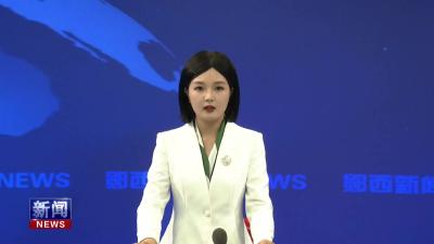 羊尾镇开展深入贯彻中央八项规定精神学习教育专题党课.mp4
