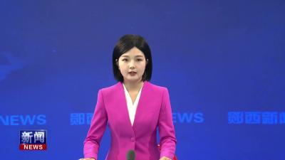 郧西梨花村和成功人士朱美峰向香口乡湖岭村捐赠救灾物资.mp4