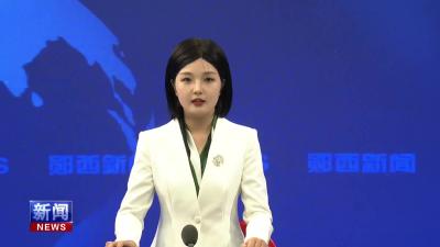 雷震讲授深入贯彻中央八项规定精神学习教育专题党课.mp4