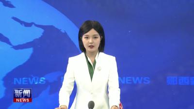 “会盟武当·旅启新程”2025武当国际旅游联盟考察团走进郧西.mp4