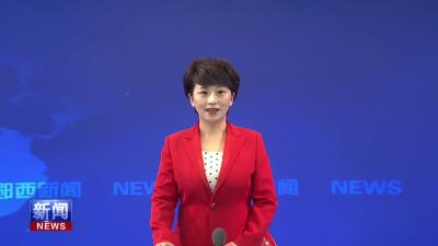 羊尾镇：无人机助力林下经济发展.mp4