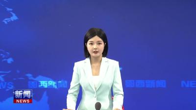 城关派出所组织志愿者开展“四防”宣传.mp4