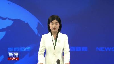 1省政府教育督导室副主任督学王文森检查指导我县校园安全工作.mp4