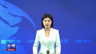 王兵在全县政法工作推进会上强调：扎实推进集中教育整治 建设更高水平平安郧西.mp4