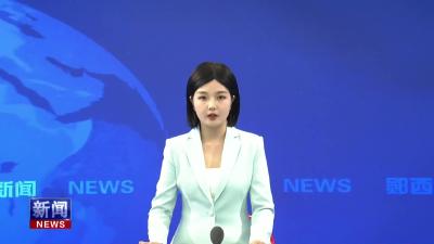 县农业农村局举行康农20065KK玉米新品种示范观摩活动.mp4