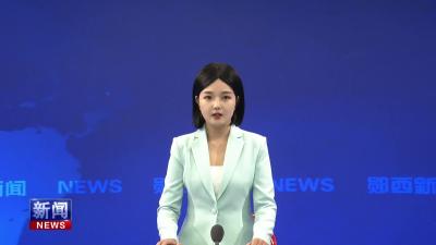 李光锐在县投资管理委员会会议上强调   全面提升项目投资质效 夯实高质量发展硬支撑.mp4