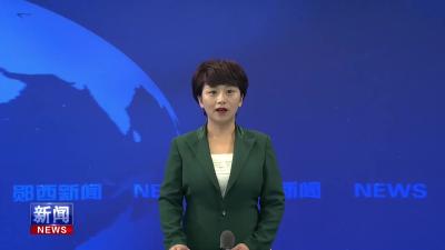王兵与猛狮新能源科技（河南）股份有限公司董事长陈乐伍座谈.mp4