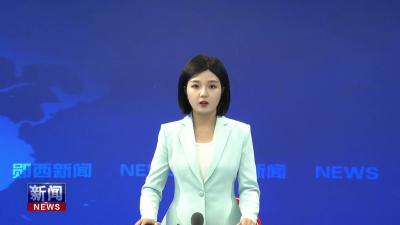 省自然资源厅副厅长文峰来郧西调研地质灾害防治工作.mp4