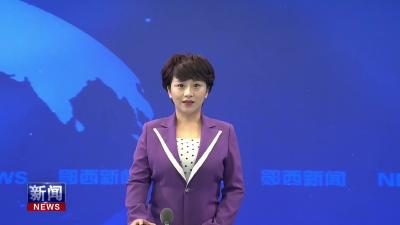 王兵在河夹镇开展“五访五看”、入企纾困解难等工作时.mp4