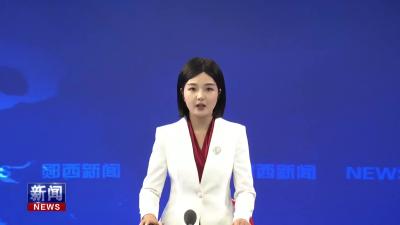 农业农村局开展全县六无乡镇建设工作培训会.mp4