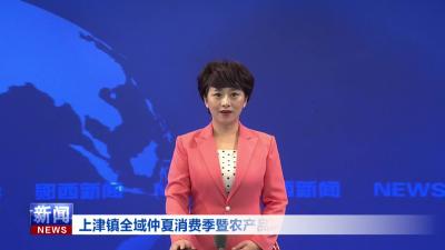 上津镇全域仲夏消费季暨农产品展销活动举行.mp4