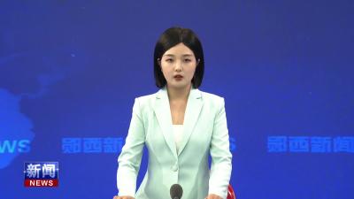 全县平安稳定工作视频调度会召开.mp4