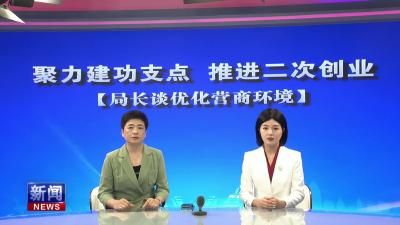 县发改局党组书记、局长张春艳谈优化营商环境.mp4