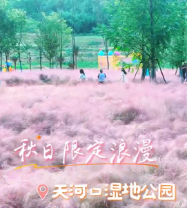 天河口湿地公园 