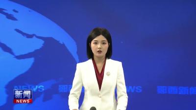 王兵督导重点项目 工业经济等工作时强调   全力以赴抓项目强产业 塑造高质量发展新动能.mp4