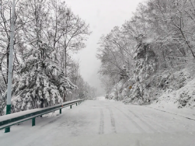 郧西秒变仙境！2025年初雪实拍，每一帧都像壁纸→