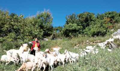 “羊”帆破浪！身价超15亿！