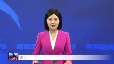 湖北云极：智造升级跑出“加速度”.mp4