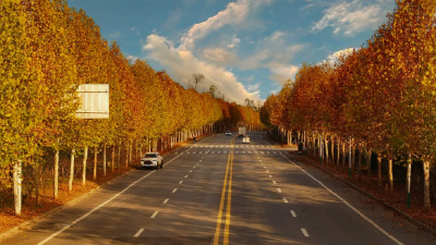 立冬已至 秋韵未央！郧西的初冬，藏着最温柔的诗意