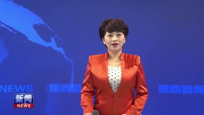 香菇产业“链”出乡村振兴“好钱景”.mp4