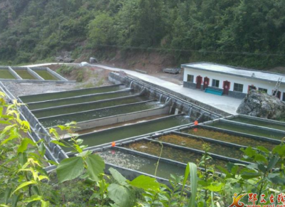 一线协商破难题  生态渔业促振兴