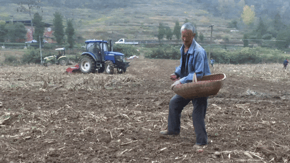 【聚力建功支点 推进二次创业】完成12.75万亩！郧西机械赋能小麦冬播生产