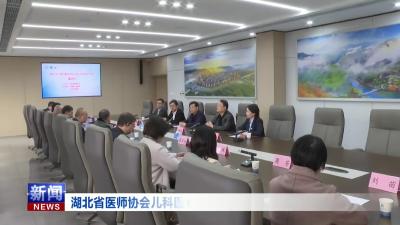 湖北省医师协会儿科医师巡回医疗队赴我县开展系列医疗活动.mp4